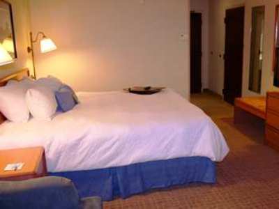 Hampton Midtown Downtown Area 3*